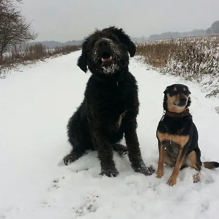 Ferienhof Hanum Hanum