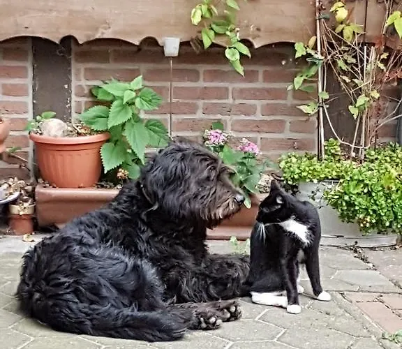 Gasthof Ferienhof Hanum